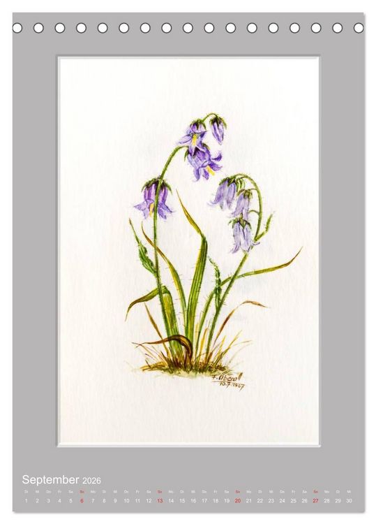 Produktbild: Alpenblumen Aquarelle aus Tirol (Tischkalender 2026 DIN A5 hoch), CALVENDO Monatskalender