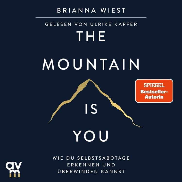  the mountain is you als h rbuch kaufen