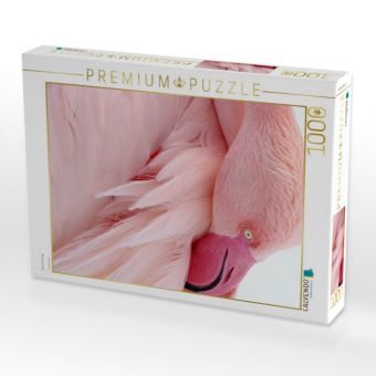 Produktbild: CALVENDO Puzzle Rosa Flamingo | 1000 Teile Lege-Gr&ouml;&szlig;e 64x48cm Foto-Puzzle f&uuml;r gl&uuml;ckliche Stunden