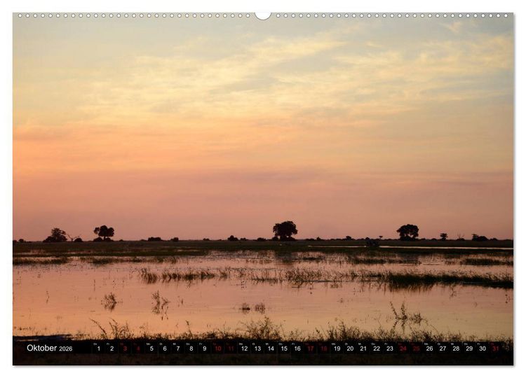 Produktbild: Faszination Botswana (hochwertiger Premium Wandkalender 2026 DIN A2 quer), Kunstdruck in Hochglanz