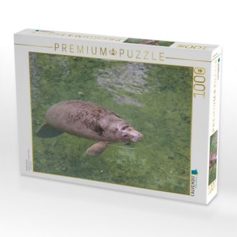 Produktbild: CALVENDO Puzzle Karibik-Manati | 1000 Teile Lege-Gr&ouml;&szlig;e 64x48cm Foto-Puzzle f&uuml;r gl&uuml;ckliche Stunden