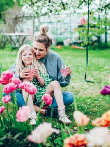 Produktbild: Rosensirup und Wildapfelgelee