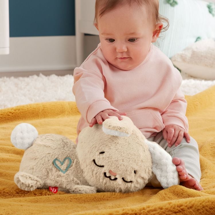 Produktbild: Fisher-Price Schlummer-H&auml;schen