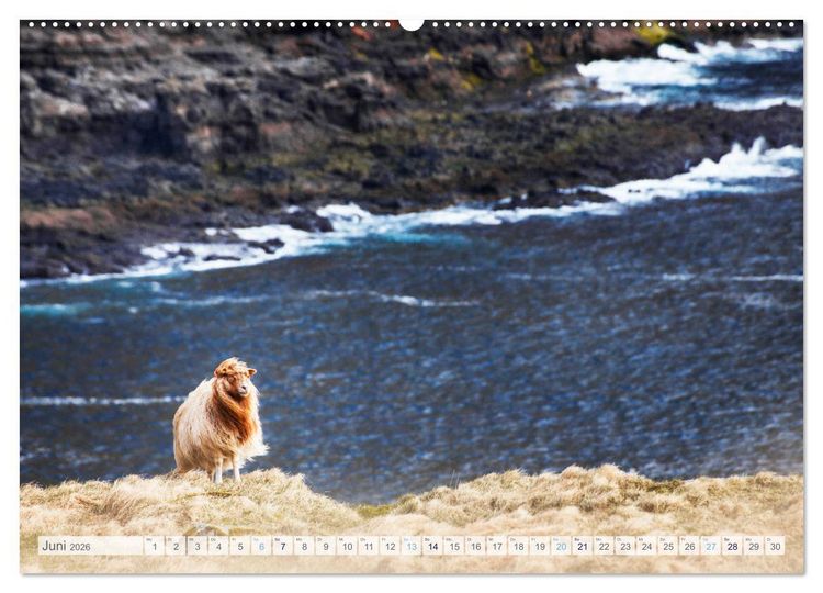 Produktbild: Schafe - Raues Wetter, weiche Wolle (hochwertiger Premium Wandkalender 2026 DIN A2 quer), Kunstdruck in Hochglanz