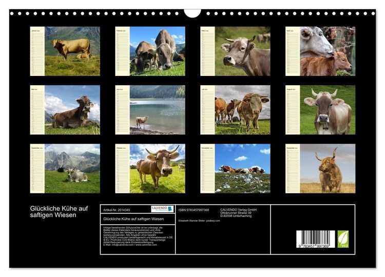 Produktbild: Gl&uuml;ckliche K&uuml;he auf saftigen Wiesen (Wandkalender 2026 DIN A3 quer), CALVENDO Monatskalender