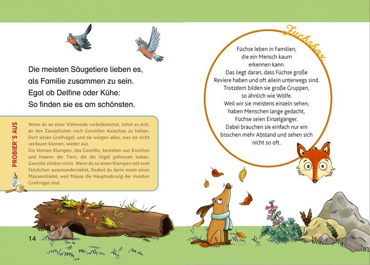 Produktbild: Tierkinder im Wald