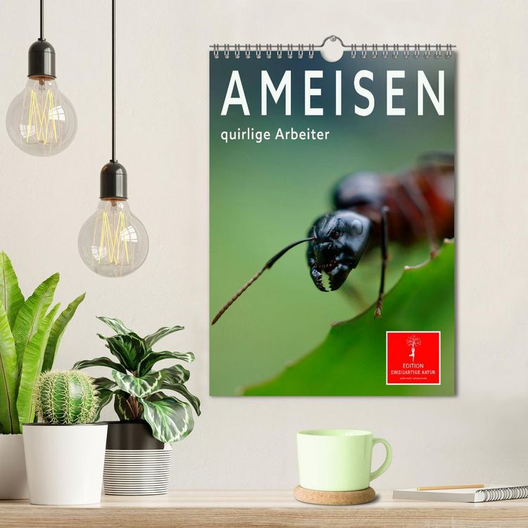 Produktbild: Ameisen quirlige Arbeiter (Wandkalender 2026 DIN A4 hoch), CALVENDO Monatskalender