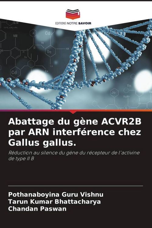 Produktbild: Abattage du g&egrave;ne ACVR2B par ARN interf&eacute;rence chez Gallus gallus.