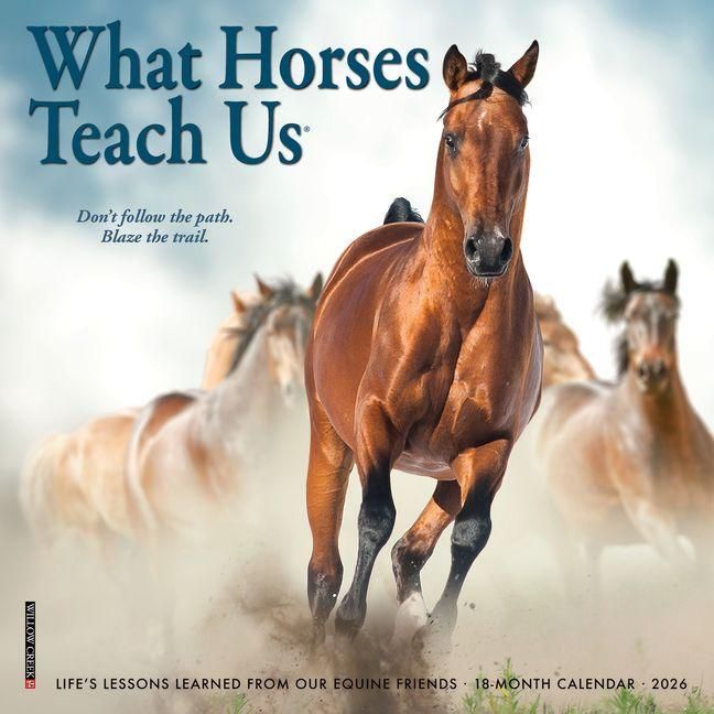 Produktbild: What Horses Teach Us 2026 Mini Wall Calendar
