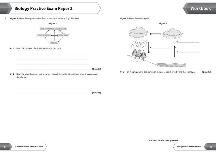 Produktbild: AQA GCSE 9-1 Combined Science Higher Workbook