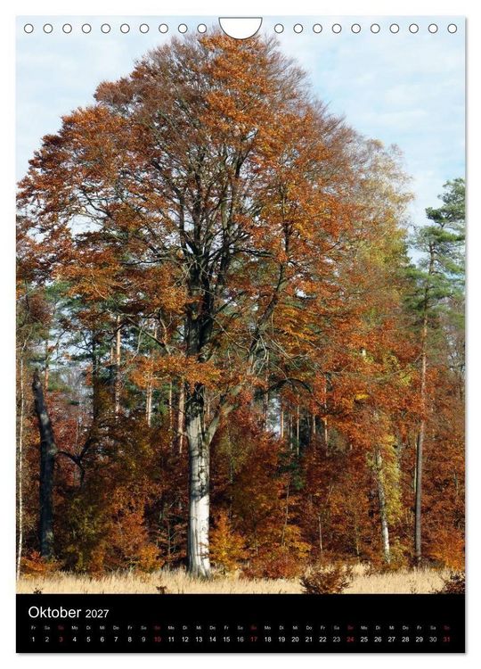 Produktbild: Land Brandenburg im Wechsel der Jahreszeiten (Wandkalender 2027 DIN A4 hoch), CALVENDO Monatskalender