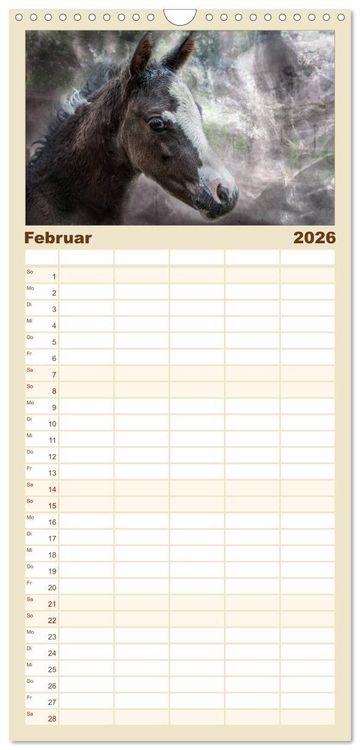 Produktbild: Familienplaner 2026 - Pferde zum Tr&auml;umen mit 5 Spalten (Wandkalender, 21 x 45 cm) CALVENDO