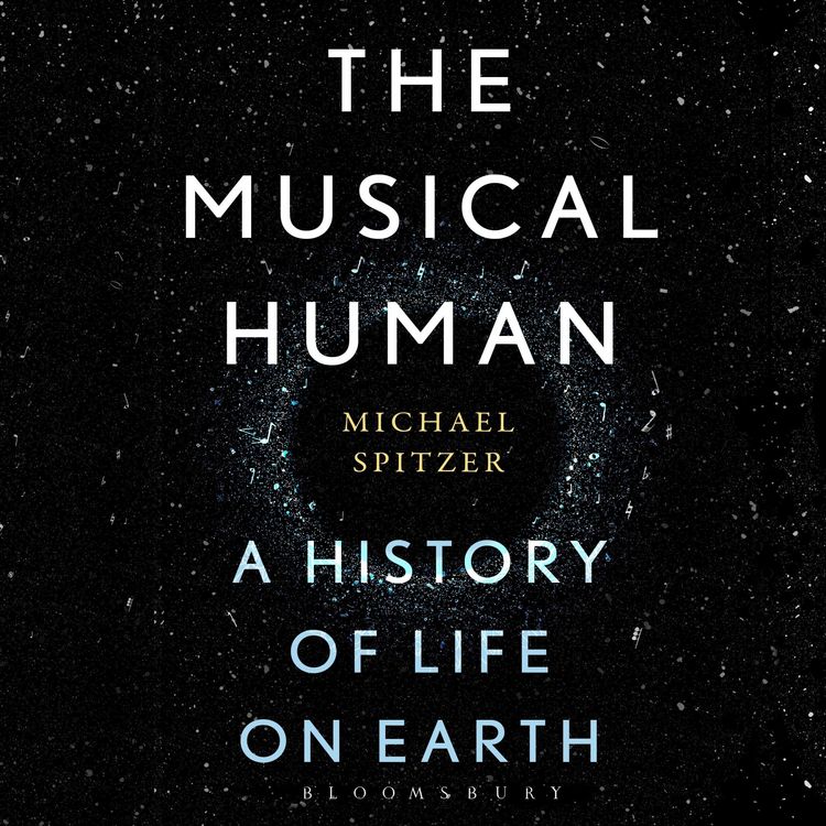 Produktbild: The Musical Human