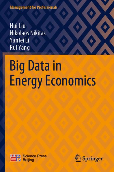 Produktbild: Big Data in Energy Economics
