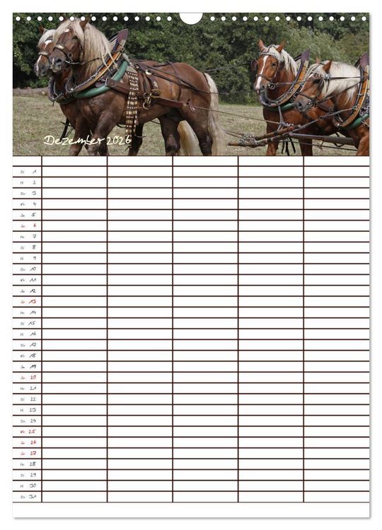 Produktbild: Der Kaltblut-Familienplaner (Wandkalender 2026 DIN A3 hoch), CALVENDO Monatskalender