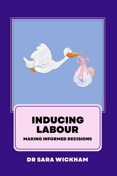 Produktbild: Inducing Labour: Making Informed Decisions