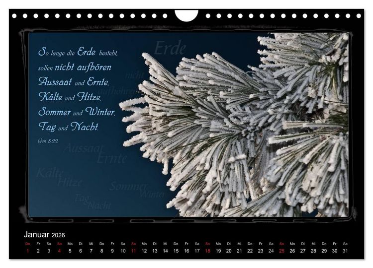 Produktbild: Monat f&uuml;r Monat ein Bibelvers (Wandkalender 2026 DIN A4 quer), CALVENDO Monatskalender