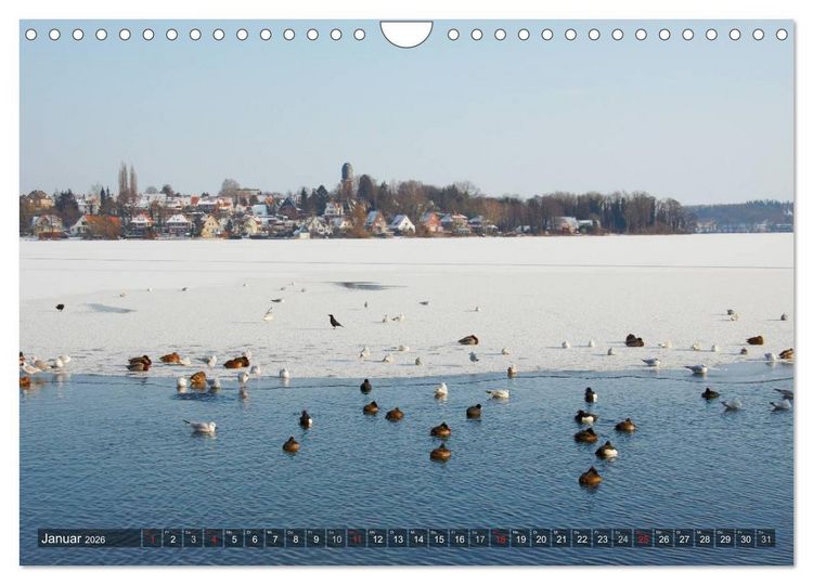 Produktbild: Naturpark Holsteinische Schweiz (Wandkalender 2026 DIN A4 quer), CALVENDO Monatskalender