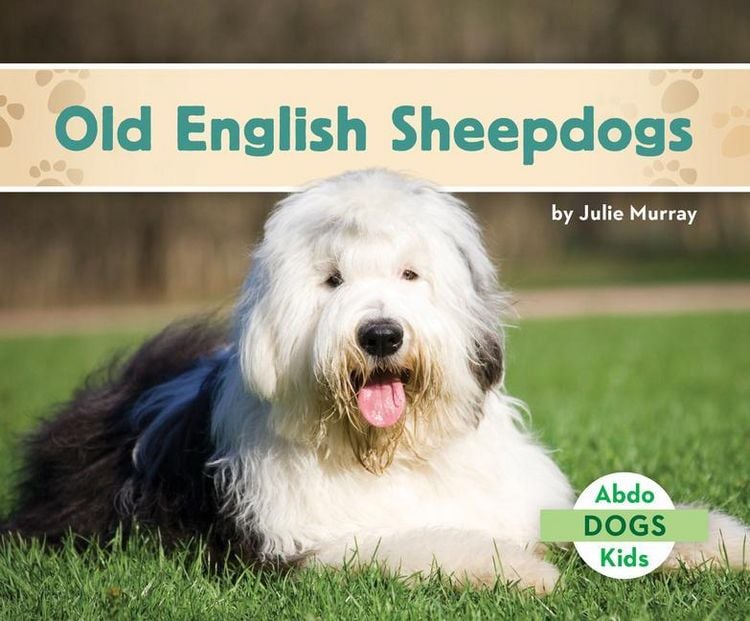 Produktbild: Old English Sheepdogs