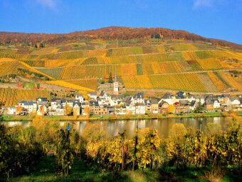 Produktbild: CALVENDO Puzzle Cell an der Mosel | 1000 Teile Lege-Gr&ouml;&szlig;e 64x48cm Foto-Puzzle f&uuml;r gl&uuml;ckliche Stunden