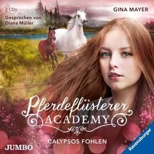 Produktbild: M&uuml;ller, D: Pferdefl&uuml;sterer-Academy (6).Calypsos Fohlen