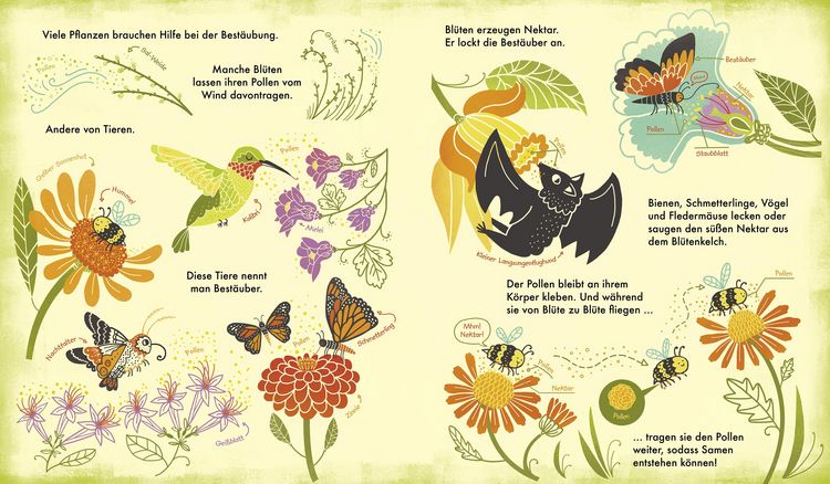 Produktbild: Das Wunder einer Blume - Warum Blumen und Pflanzen so wichtig sind