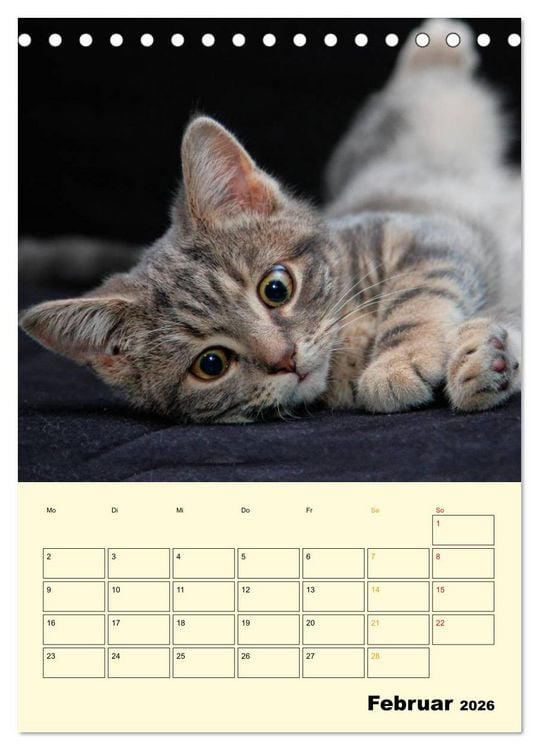 Produktbild: K&auml;tzchen - Theater (Tischkalender 2026 DIN A5 hoch), CALVENDO Monatskalender