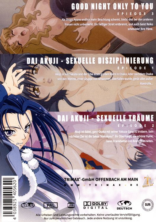 Produktbild: Hentai Collection Vol. 03 (3 Filme)