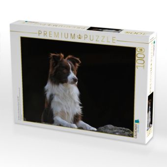 Produktbild: CALVENDO Puzzle Ein Motiv aus dem Kalender Border Collie 2017 | 1000 Teile Lege-Gr&ouml;&szlig;e 64x48cm Foto-Puzzle f&uuml;r gl&uuml;ckliche Stunden