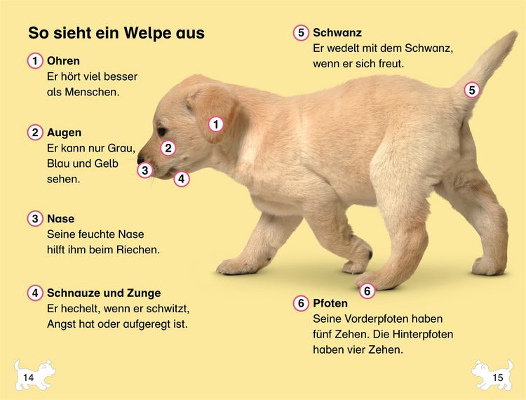 Produktbild: SUPERLESER! Wuffis neues Zuhause