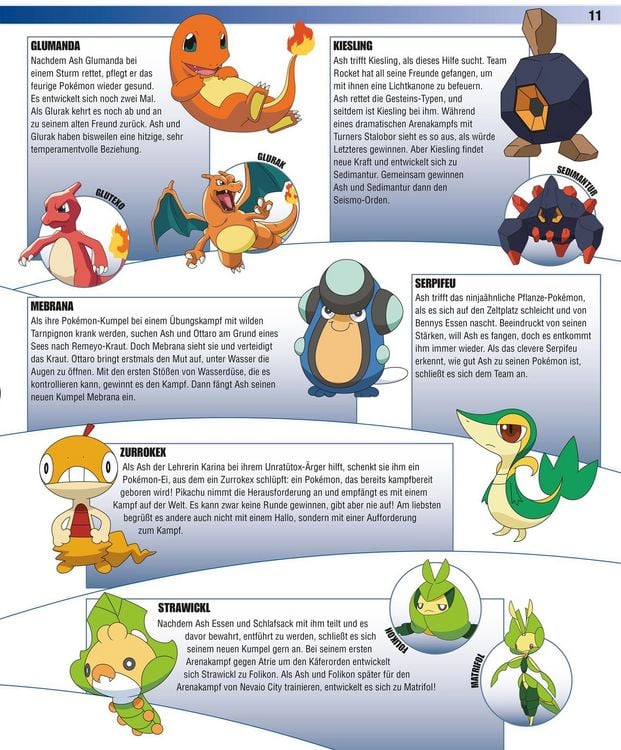 Pokémon Handbuch: Das große Lexikon