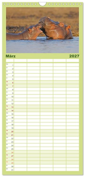 Produktbild: Familienplaner 2027 - Flusspferde Magie des Augenblicks - Hippos in Afrika mit 5 Spalten (Wandkalender, 21 x 45 cm) CALVENDO
