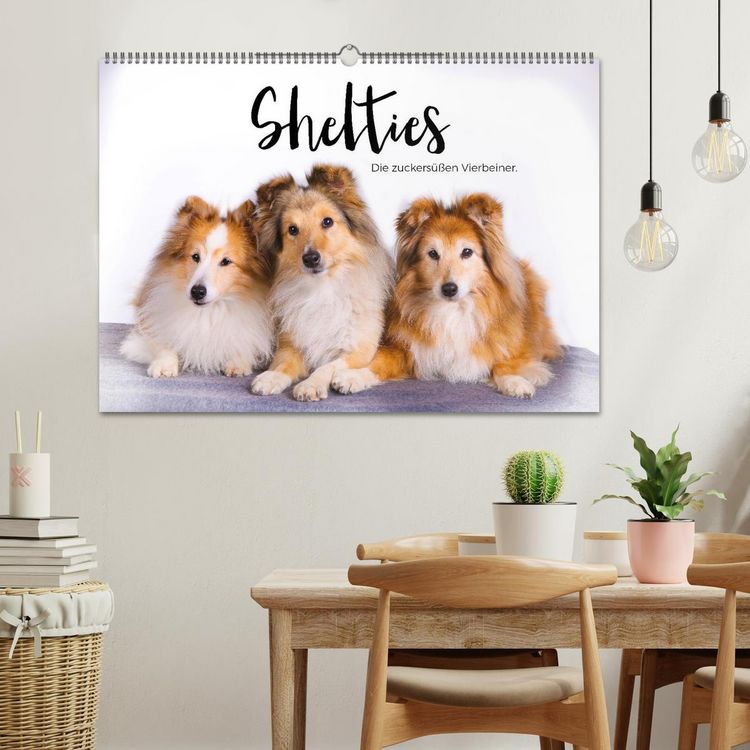 Produktbild: Shelties - Die zuckers&uuml;&szlig;en Vierbeiner. (Wandkalender 2026 DIN A2 quer), CALVENDO Monatskalender