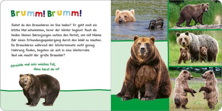 Produktbild: H&ouml;r mal rein, wer kann das sein? &ndash; Tiere im Herbst