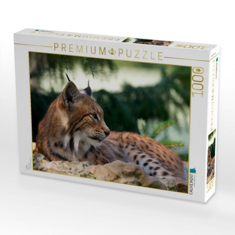 Produktbild: CALVENDO Puzzle Relax | 1000 Teile Lege-Gr&ouml;&szlig;e 64x48cm Foto-Puzzle f&uuml;r gl&uuml;ckliche Stunden