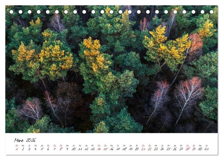 Produktbild: Im Atem der B&auml;ume (Tischkalender 2026 DIN A5 quer), CALVENDO Monatskalender