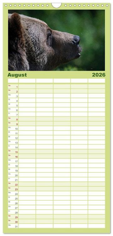 Produktbild: Familienplaner 2026 - Grizzlys und Geisterb&auml;ren - Glendale Cove, Kanada mit 5 Spalten (Wandkalender, 21 x 45 cm) CALVENDO