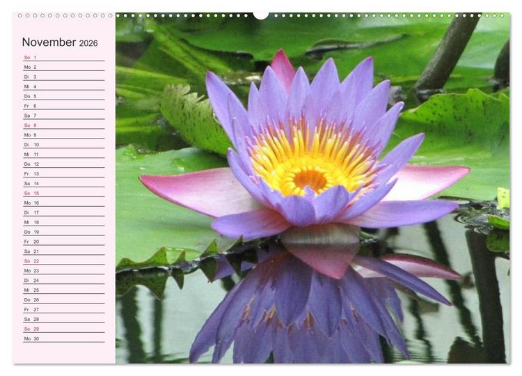Produktbild: Lotos. Symbol f&uuml;r Reinheit und Kraft (Wandkalender 2026 DIN A2 quer), CALVENDO Monatskalender