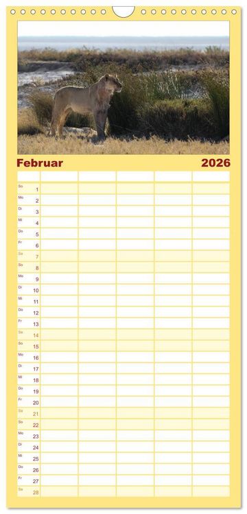 Produktbild: Familienplaner 2026 - Wildes Namibia mit 5 Spalten (Wandkalender, 21 x 45 cm) CALVENDO
