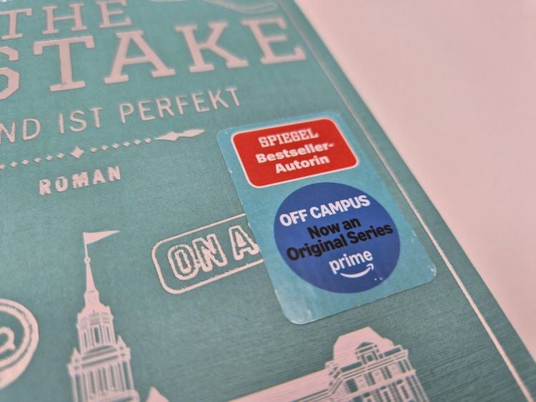 Produktbild: The Mistake &ndash; Niemand ist perfekt