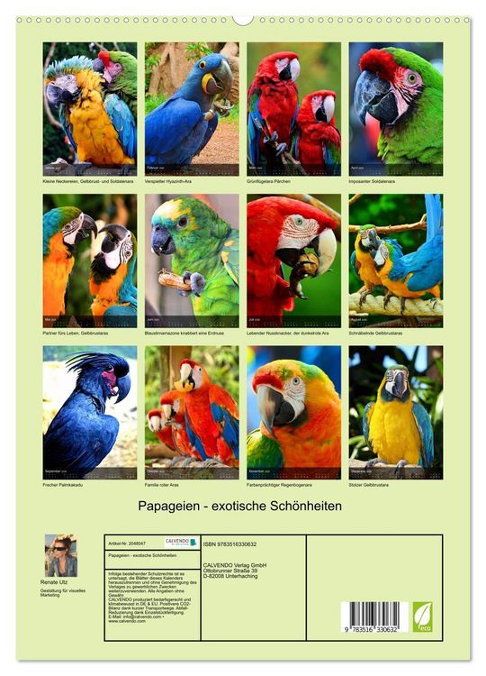 Produktbild: Papageien - exotische Sch&ouml;nheiten (hochwertiger Premium Wandkalender 2026 DIN A2 hoch), Kunstdruck in Hochglanz