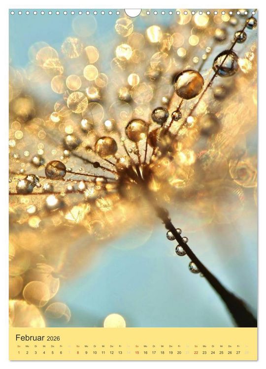 Produktbild: Natur-Romantik (Wandkalender 2026 DIN A3 hoch), CALVENDO Monatskalender