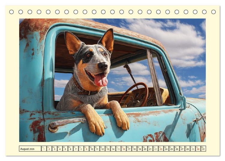 Produktbild: Australian Cattle Dogs. Echte Cowboys und Helden der Farm (Tischkalender 2026 DIN A5 quer), CALVENDO Monatskalender