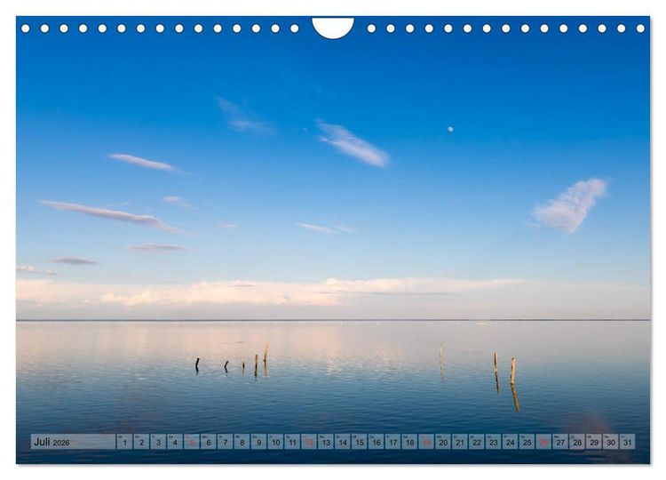 Produktbild: Camargue - Der wilde S&uuml;den Frankreichs (Wandkalender 2026 DIN A4 quer), CALVENDO Monatskalender