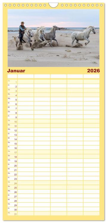 Produktbild: Familienplaner 2026 - Die wei&szlig;en Pferde der Camargue mit 5 Spalten (Wandkalender, 21 x 45 cm) CALVENDO