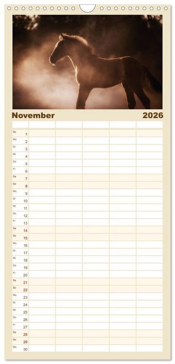Produktbild: Familienplaner 2026 - Spiegel deiner Seele mit 5 Spalten (Wandkalender, 21 x 45 cm) CALVENDO