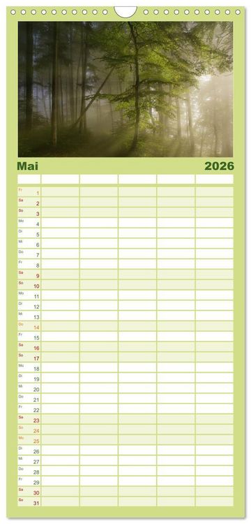 Produktbild: Familienplaner 2026 - Mysterium Wald mit 5 Spalten (Wandkalender, 21 x 45 cm) CALVENDO