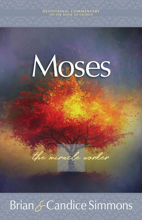 Produktbild: Moses