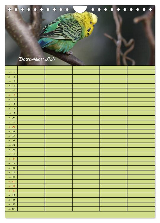 Produktbild: Der Wellensittich-Familienplaner (Wandkalender 2026 DIN A4 hoch), CALVENDO Monatskalender