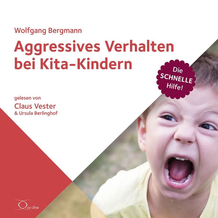 Produktbild: Aggressives Verhalten bei Kita-Kindern